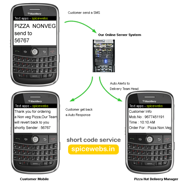 How Stuff Works - Bulk SMS